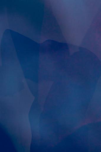 Self Portrait as a Shadow (2026) poster