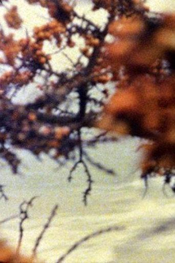 At the Sea (1995) poster