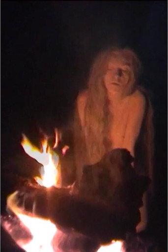 Light (2011) poster