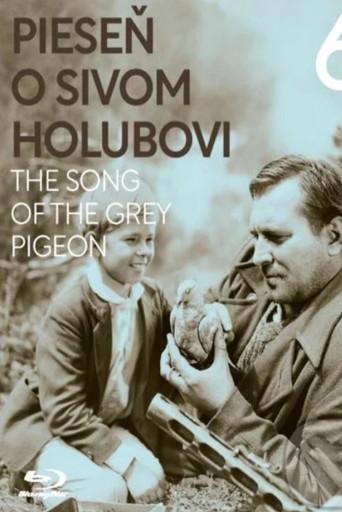 The Song of the Grey Pigeon (1961) poster