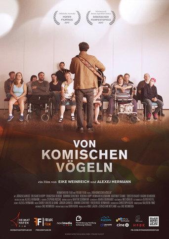 Strange Birds (2017) poster
