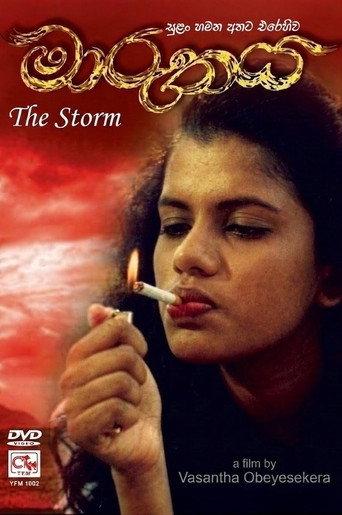 The Storm (1995) poster
