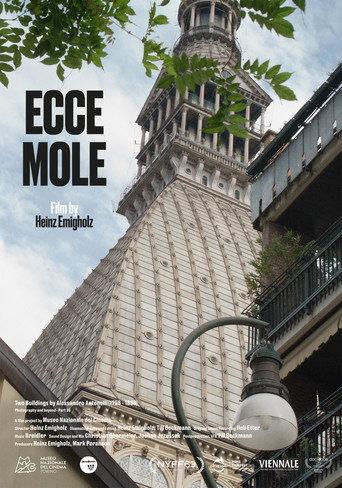 Ecce Mole (2025) poster