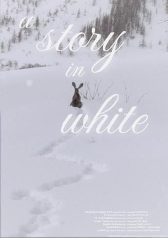 A story in white (2026) poster