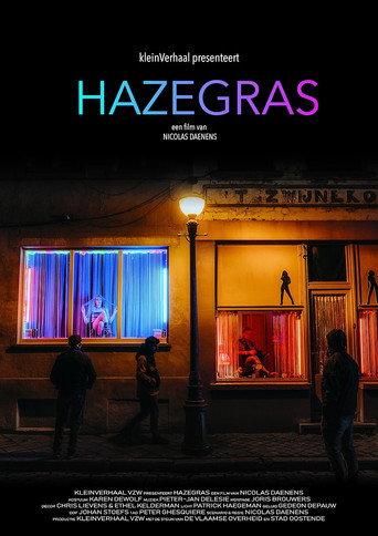 Hazegras (2024) poster