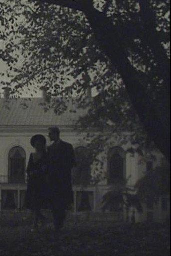A Stockholm Silhouette (1943) poster