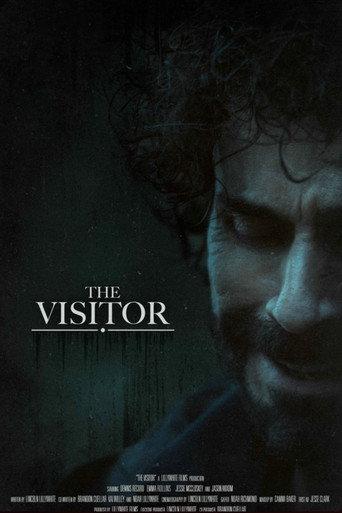 The Visitor (2025) poster