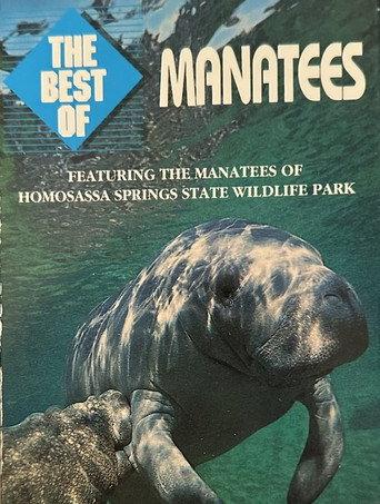 Manatees () poster
