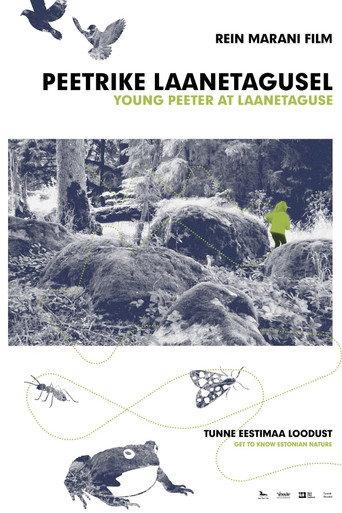 Young Peeter At Laanetaguse (2018) poster