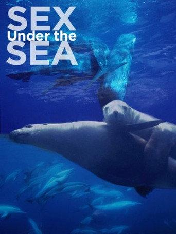 Sexe en Haute Mer (2011) poster