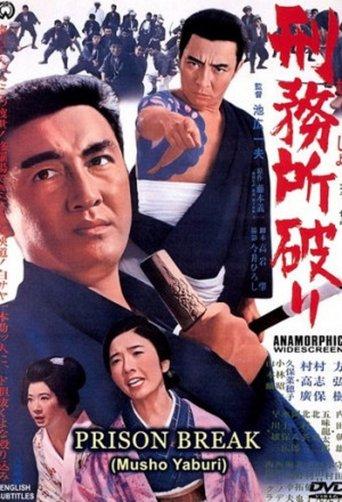 Prison Break (1969) poster