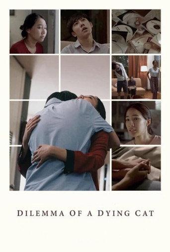 Dilemma Of A Dying Cat (2018) poster
