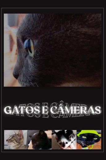 Cats and Cameras (2026) poster