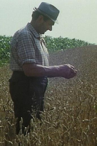Mikolaš Farmer Worker's First Holidays (1984) poster