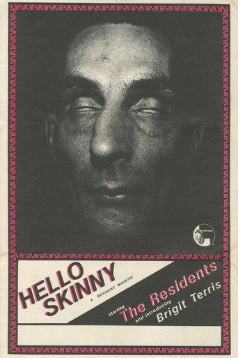 Hello Skinny () poster