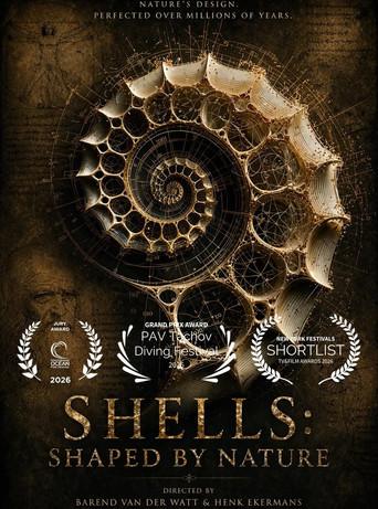 Shells: Shaped by Nature (2026) poster