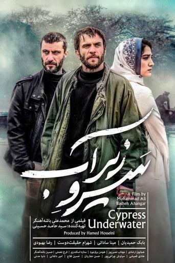 Cypress Under Water (2018) poster