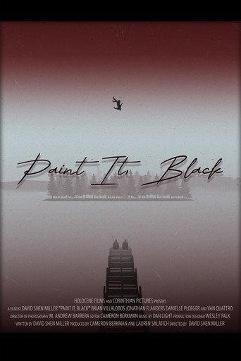 Paint it, Black () poster