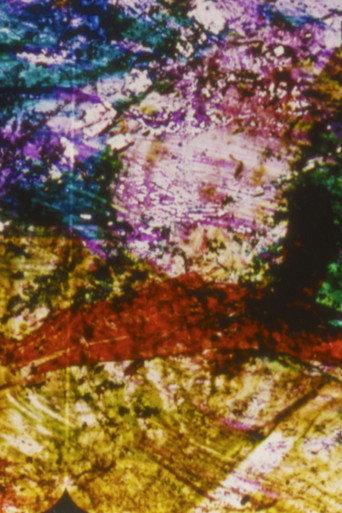 Three Homerics (1993) poster