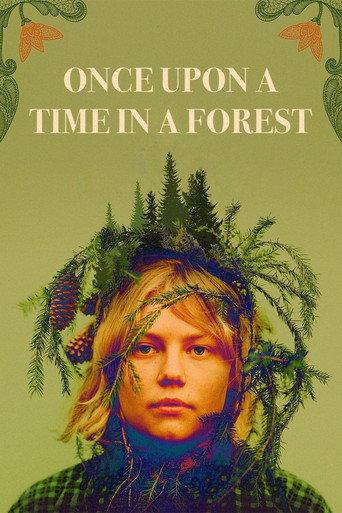 Once Upon a Time in a Forest (2024) poster
