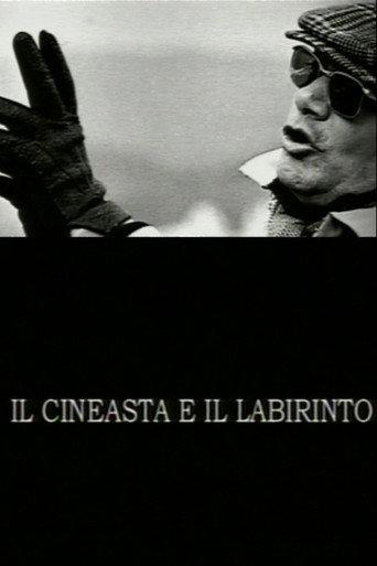 The Filmmaker and the Labyrinth (2004) poster