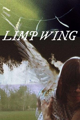 Limp Wing () poster