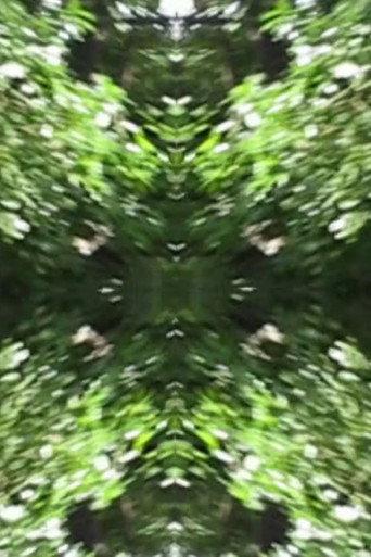 The Richter Garden (2012) poster