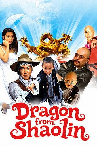 Dragon from Shaolin (1996) poster