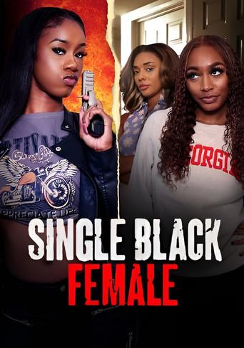Single Black Female (2024) poster