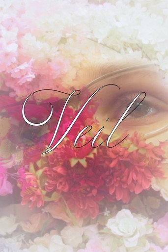 Veil (2024) poster