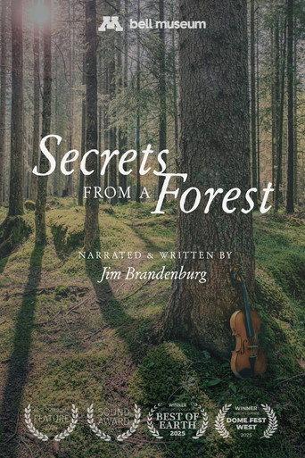 Secrets From a Forest () poster