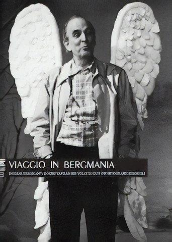 Viaggio in Bergmania (2011) poster