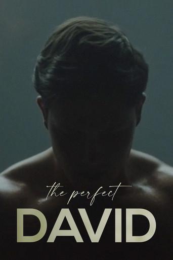 The Perfect David (2021) poster