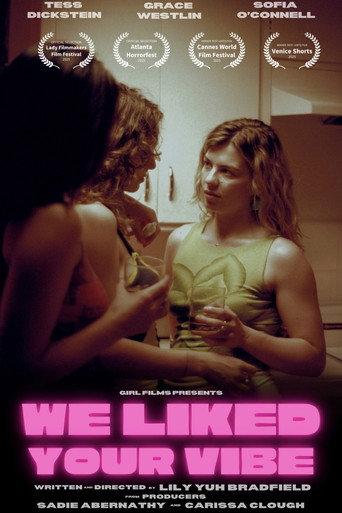 We Liked Your Vibe (2025) poster