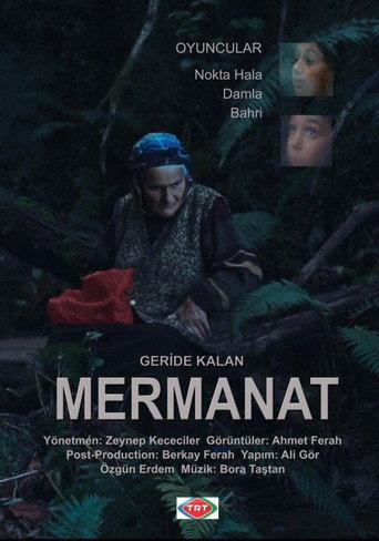 Geride Kalan Mermanat (2016) poster