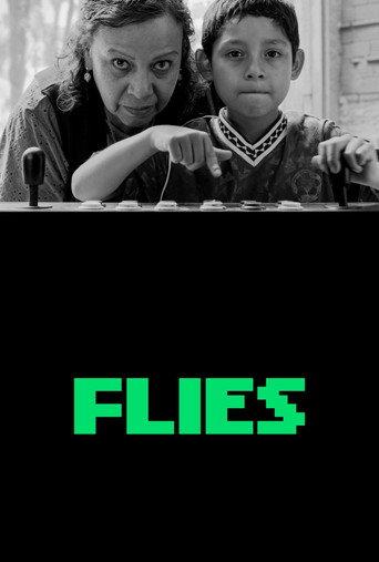 Flies (2026) poster