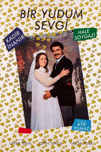 A Sip of Love (1984) poster