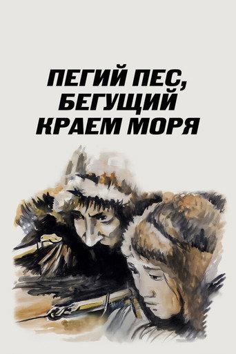 Spotted Dog Running at the Edge of the Sea (1991) poster