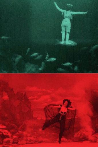 The Dancer's Dream (1905) poster