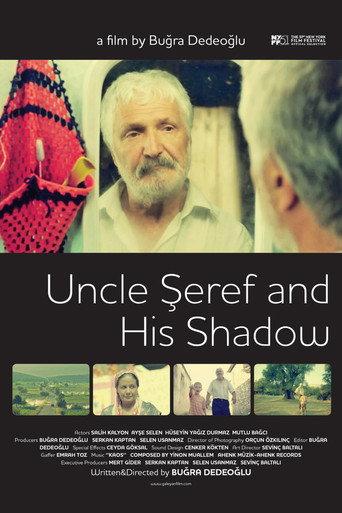 Şeref Dayı ve Gölgesi (2013) poster