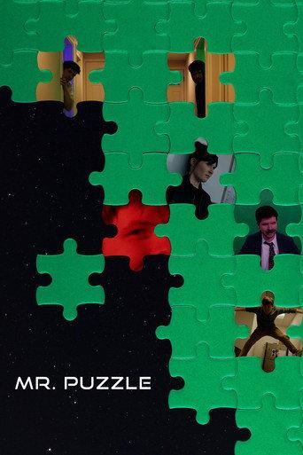 Mr. Puzzle (2026) poster
