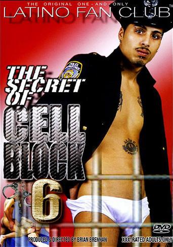 The Secret of Cell Block 6 (2008) poster