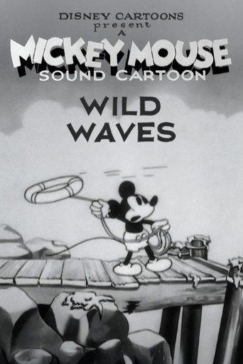 Wild Waves (1929) poster