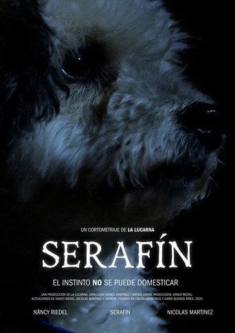 Serafín (2025) poster