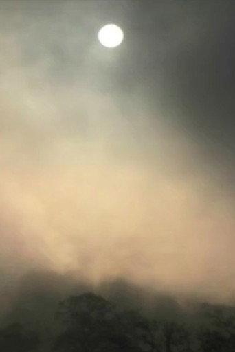 November Morning (2010) poster