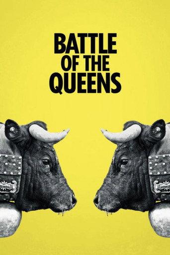 Battle of the Queens (2011) poster