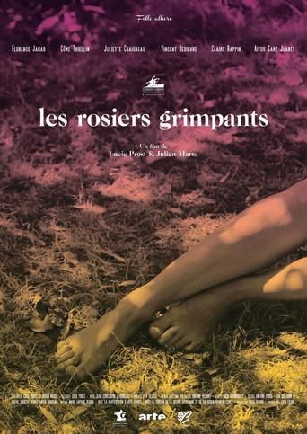 The Climbing Roses (2016) poster