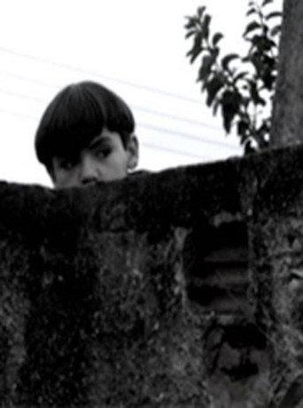 O Muro (2009) poster