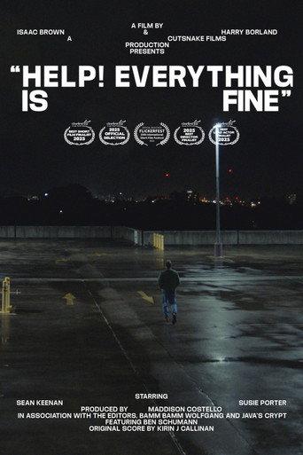 Help! Everything is Fine () poster