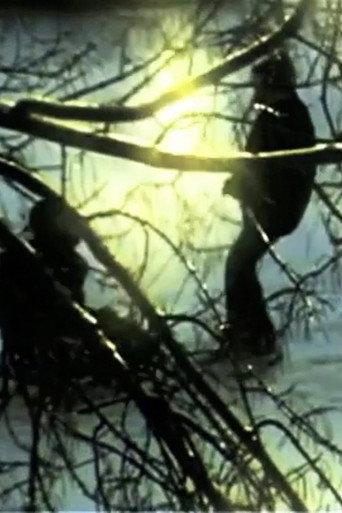 The Window (2007) poster